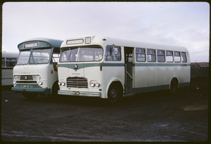 Link to digital version