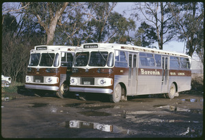 Link to digital version