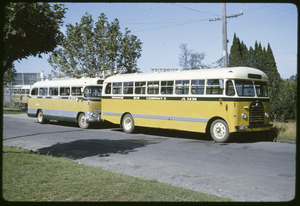Link to digital version