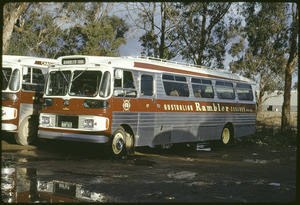 Link to digital version