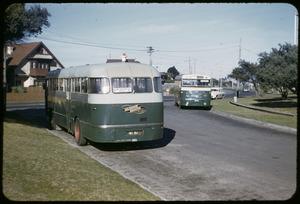 Melbourne-Brighton Bus Lines, two buses at a t-intersection