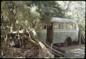 Link to digital version