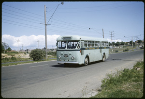 Link to digital version