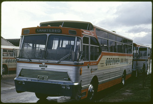 Link to digital version