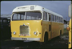 Link to digital version