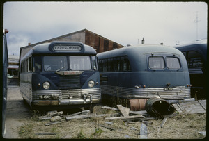 Link to digital version