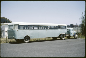 Link to digital version