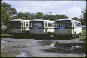 Link to digital version