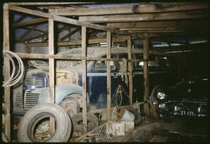 Link to digital version