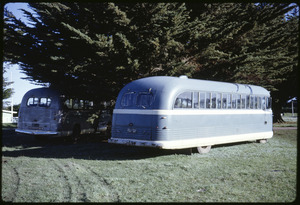 Link to digital version