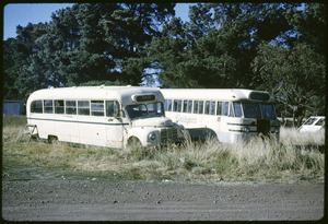 Link to digital version