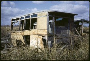 Link to digital version