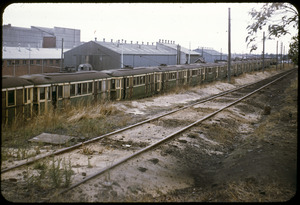 Link to digital version