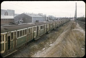 Link to digital version