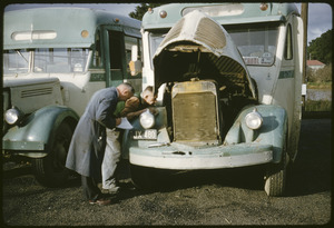 Link to digital version