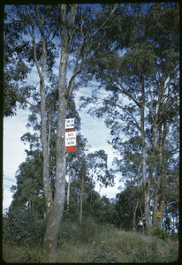 Link to digital version
