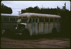 Link to digital version