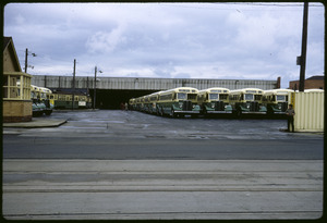 Link to digital version