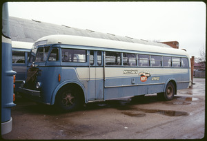 Link to digital version