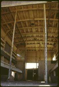 Link to digital version