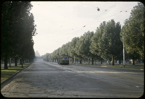Link to digital version