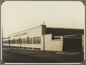 Double storey building Sydney warehouse Union Street between Pyrmont and Edward Streets Pyrmont